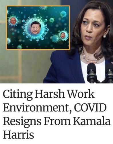 303E744B-B27C-4034-8029-D68CB97290E6