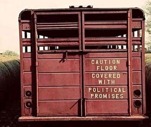 278649423_5202513643127992_8136166817108537876_n