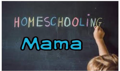 fbbee992-a974-4253-9bc6-369305b3b491