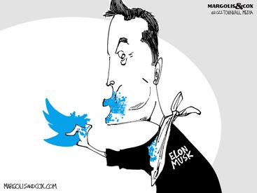 MC_Musk_web20220405113323-375x275