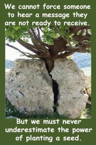 50be242f-3758-410c-85aa-aaf8bed7fa9d