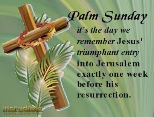 palm sunday c