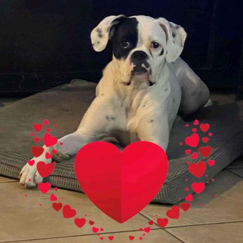 b882e66b-d9a7-446d-a7e0-4d46f4891689