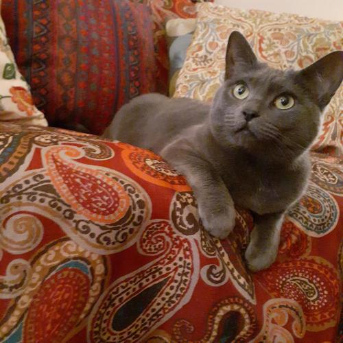 f67652d1-8fd9-4314-a015-5793f4dbc179