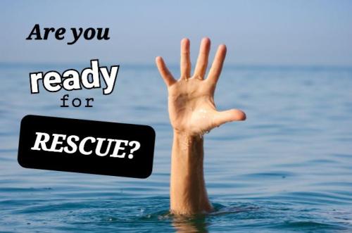 70dd5a51-e70a-446f-ae8a-e5b330a16a75