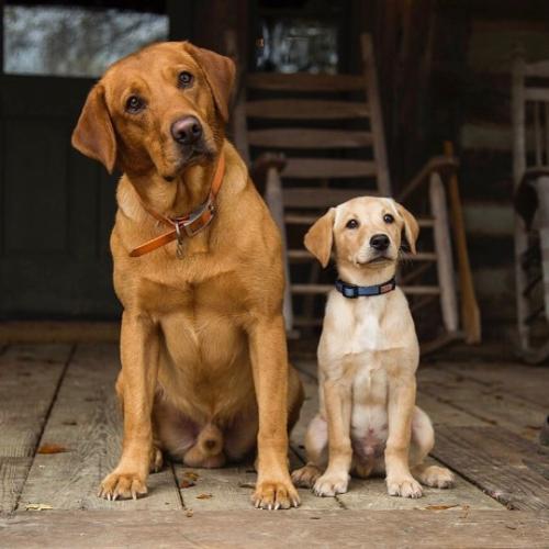 tumblr_bb7b53938407c1dcdc7b61571c41e9d6_c310835a_540