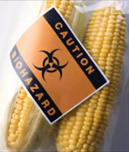 663cb2bb-e29c-4e7e-a106-236d74f0e3b5