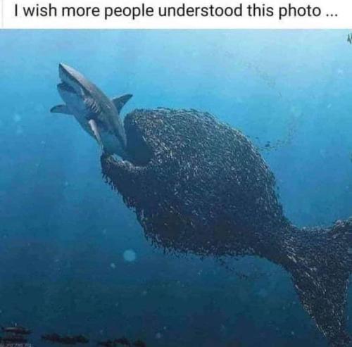 57ae670a-cffc-41bf-ba43-eddaad857229