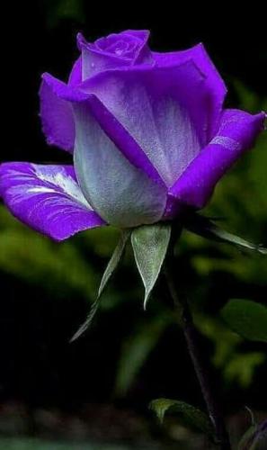 09:09:28 GMT-0500 (CDT)