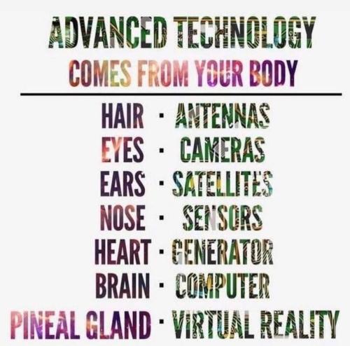 ,                                                                                                                                                                                                                          0 0