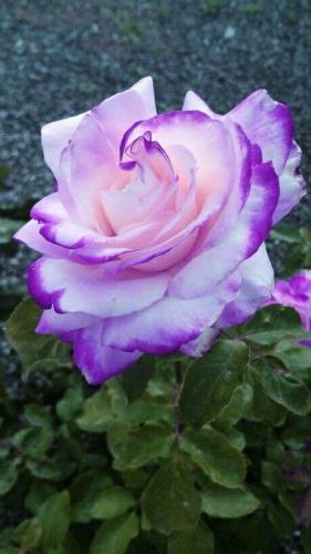 21:23:51 GMT-0500 (CDT)