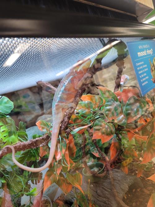 11e97a3d-de4b-4c0a-b135-d13d17f249b4