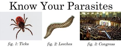 04:59:16 GMT-0500 (CDT).image