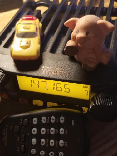 55af0465-04f7-46d0-84a1-6ec4029e0a54