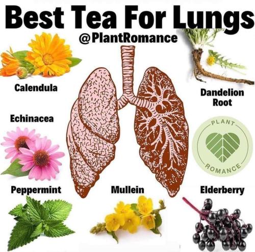 c66e241f-c002-4e47-8f42-bcd1aa06c878