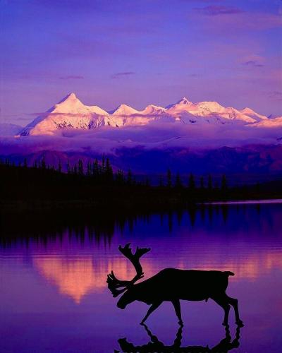 CC6AC0A0-74A1-4761-8FBB-4F4910E0528D