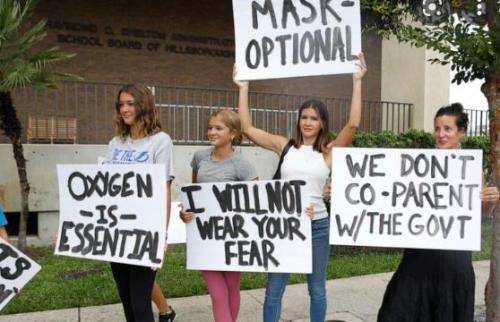 6a68e2bb-c899-4018-ba4f-bedd018a7b2f