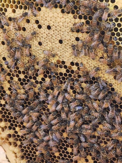 70d4060b-0323-4dcd-9492-b0f52b5eaa80