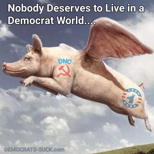 b58bf0e0-9ebb-4693-bb8f-0373248a400f