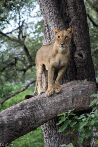 tumblr_m7en1mN8Fe1rzjwimo1_540