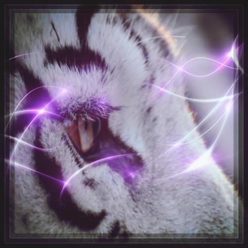 7d6c8045-32c0-47f6-b78b-954f62aaa539