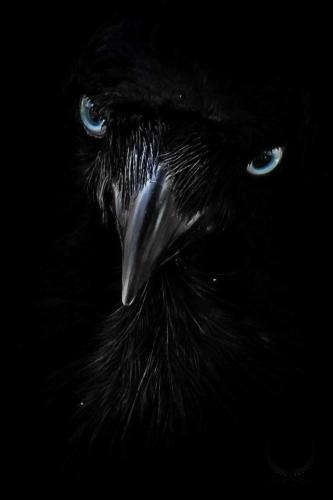 3c1d08d9-4bef-43ee-96a1-ba51fba24c78