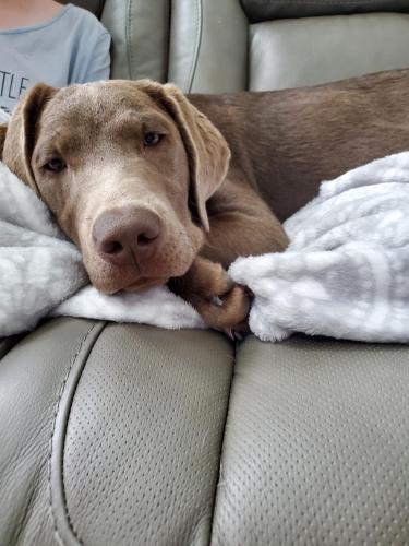 ba5d8a4c-78f1-43b2-a1e4-59f182a6cead