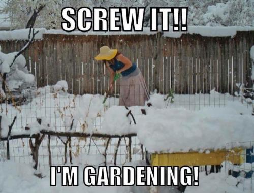 278549835_5228003723898145_2501117998683289481_n