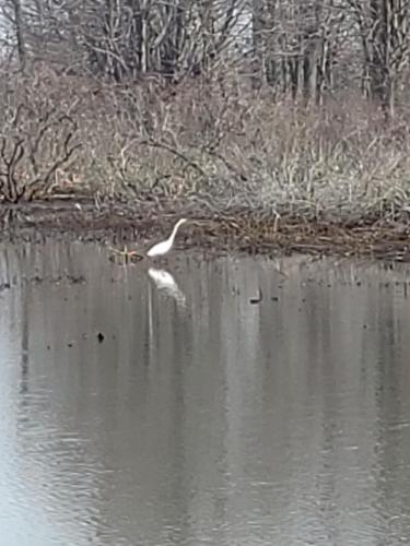 826b3eae-476a-40fa-99a3-c911c0eef161