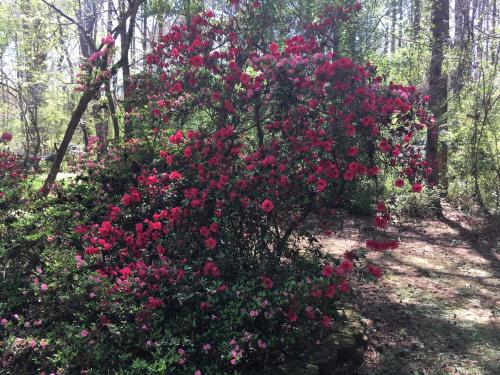 37EC9686-4AD9-41EC-99A6-B5365B5A4567