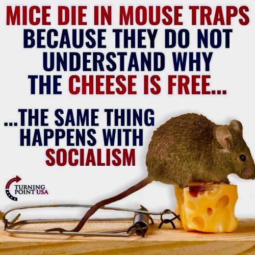 CDCBFED4-3DA9-4FF9-A76C-53896B41F06F