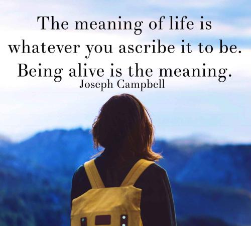 1A-Meaning of Life
