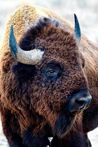 tumblr_738abed006eede703e2c9d1b9a227f89_f62de9c3_500