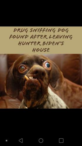 3aa3bc9c-5df5-434f-88d7-c3787293df84