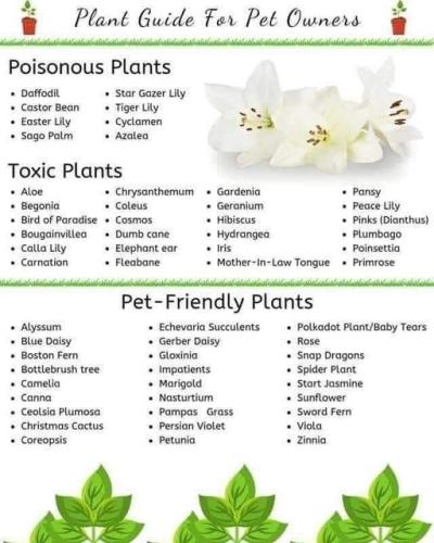 278043741_4994086930685364_4950719062152323369_n