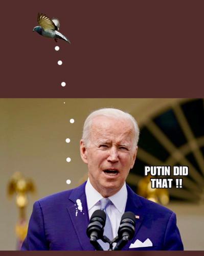 4D1248CC-BF81-436A-A8C3-626D21472CCC