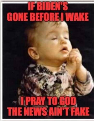 50cd53f9-c6ea-490b-b2a1-c28431400085