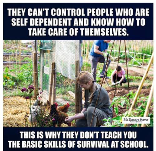 2e3a35f8-032e-43a8-8635-2b5e3d5f6bf0