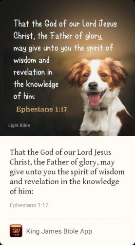 16197eeb-dbee-4532-a1d9-1809ab64b721