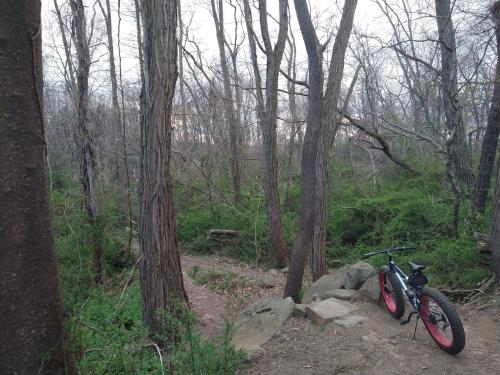 8b74353a-5826-41f3-9b18-4becc9899d6f