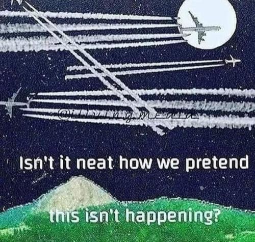 d2de7a17-926b-4d90-b11b-3278041d39ed