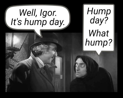 Comedy - Young Frankenstein Hump Day