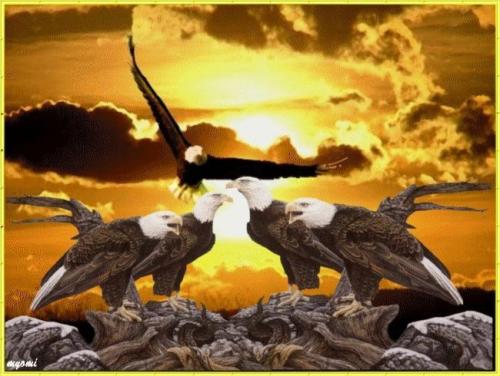 10:49:43 GMT-0500 (CDT)