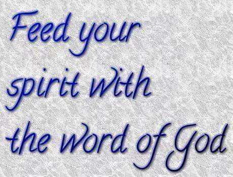 e72b8f1a-603a-4c8b-b60e-2dc2e02928d8