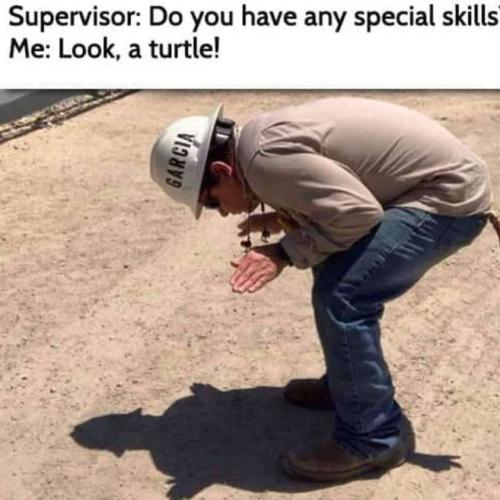 326eb169-4cd5-404a-996b-0fb4dbb15290