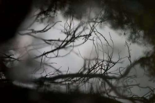 b68da0ef-490b-47ad-bf25-83eade4fff35