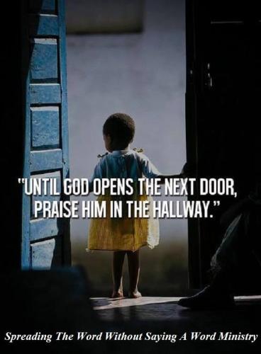 12366303_966659083416223_7183328977413087644_n