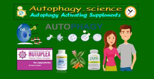 Autophagy.science - Autophagy Supplements