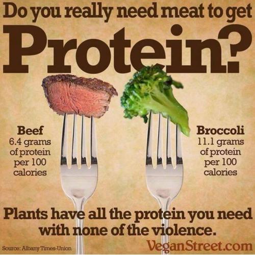 f5955244-792c-436f-a3b1-8754a1c4dbe2