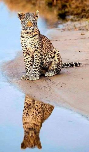 tumblr_23793467d27ed01e970a82533455d765_f60dbbee_640